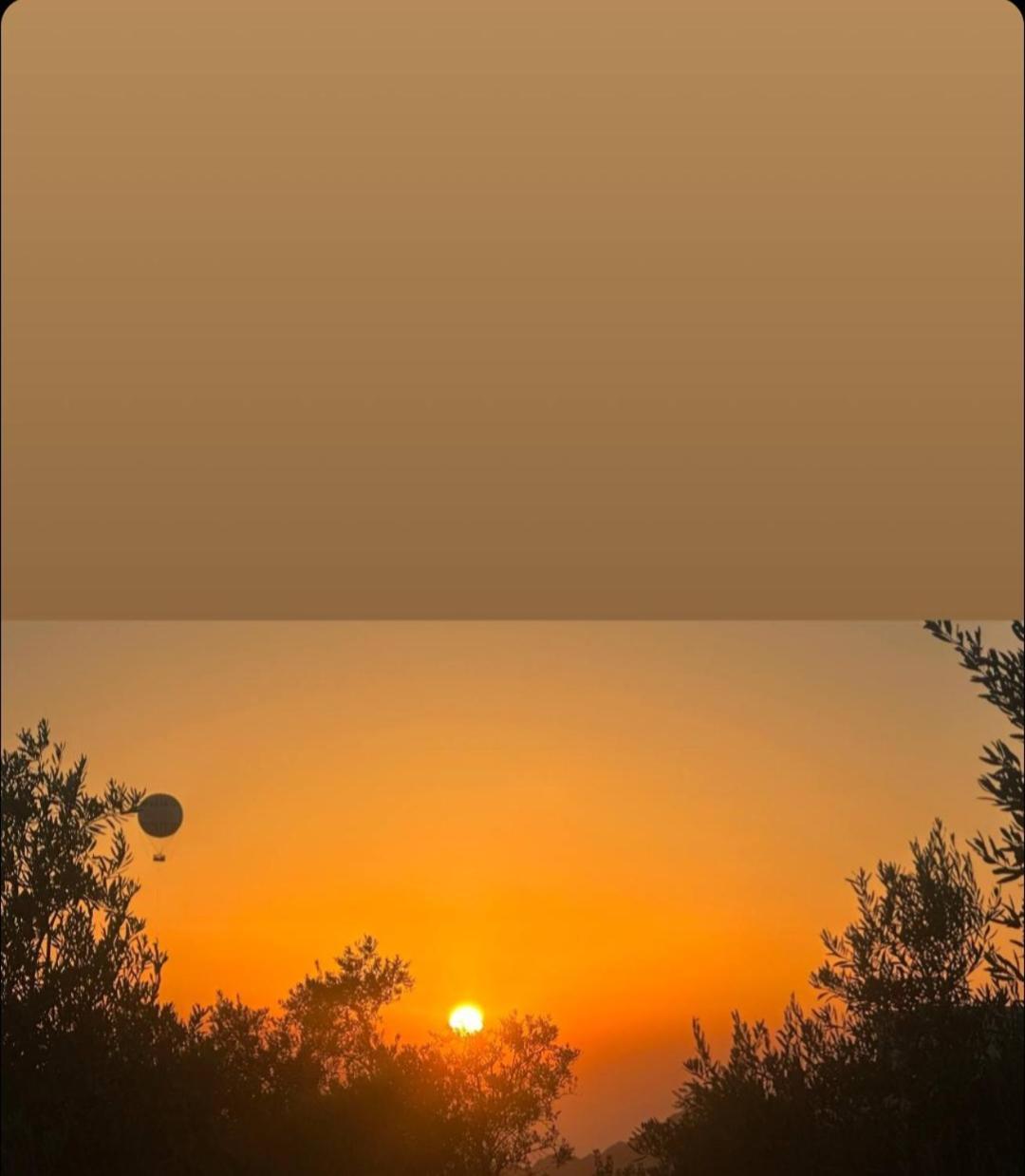 Petra Hills House Pansiyon Wadi Musa Dış mekan fotoğraf